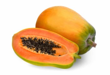 Papaya enzyme powder